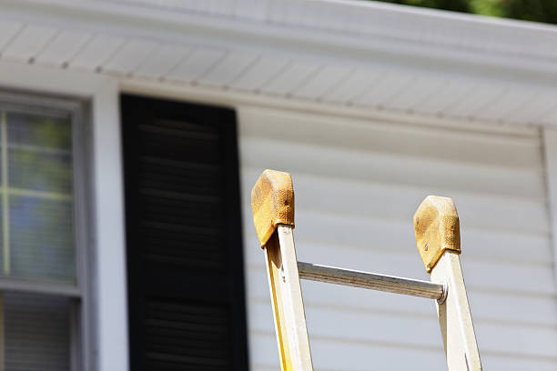 Best Carpet Removal and Disposal  in Clinton, IL